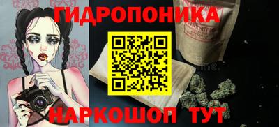 ГАЛЛЮЦИНОГЕННЫЕ ГРИБЫ Нальчик