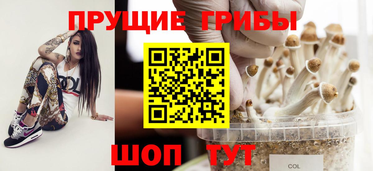 Волжский  Галлюциногенные грибы GOLDEN TEACHER  Вход с VPN 